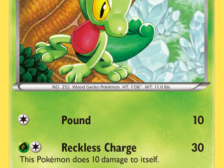 Treecko (6 116) [Black & White: Plasma Freeze] For Sale