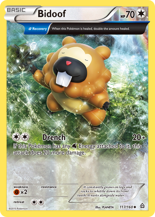 Bidoof (117 160) [XY: Primal Clash] Fashion