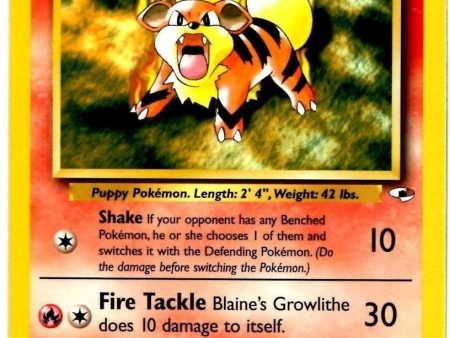 Blaine s Growlithe (35 132) [Gym Heroes Unlimited] Online Hot Sale